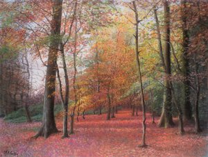 Autunno nel Bosco, 1999